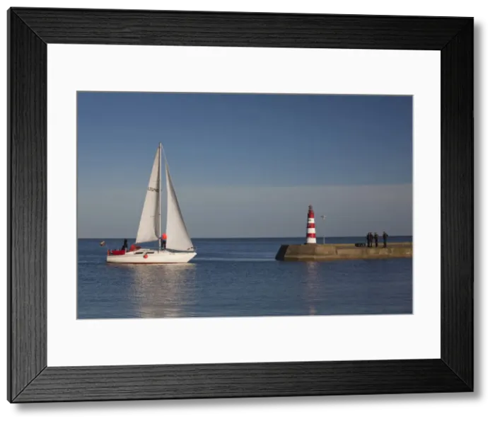 Framed Print : DDE-90036501 Framed Print : DDE-90036501