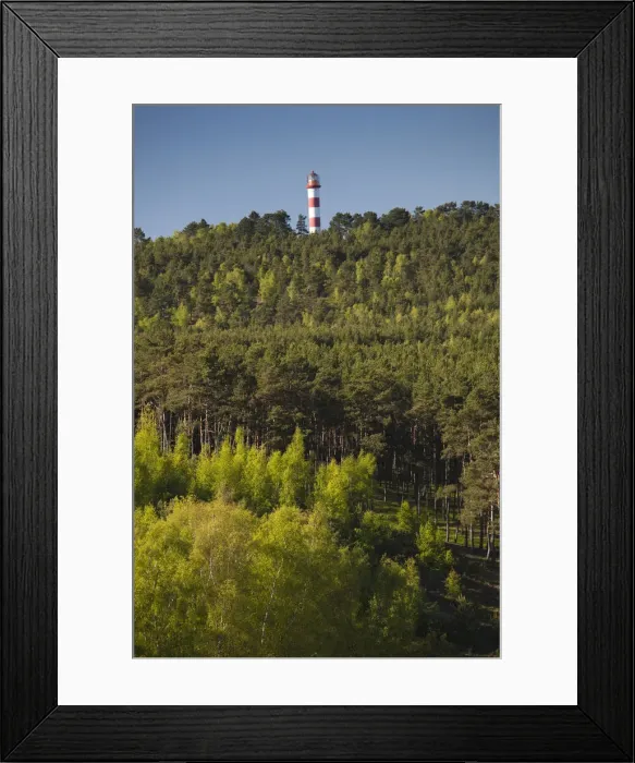 Framed Print : DDE-90036498 Framed Print : DDE-90036498