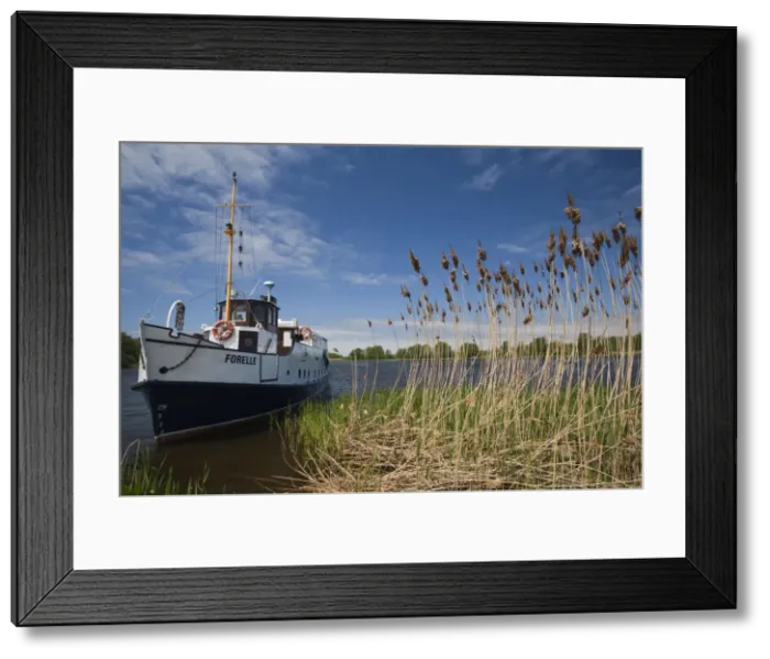 Framed Print : DDE-90036506 Framed Print : DDE-90036506