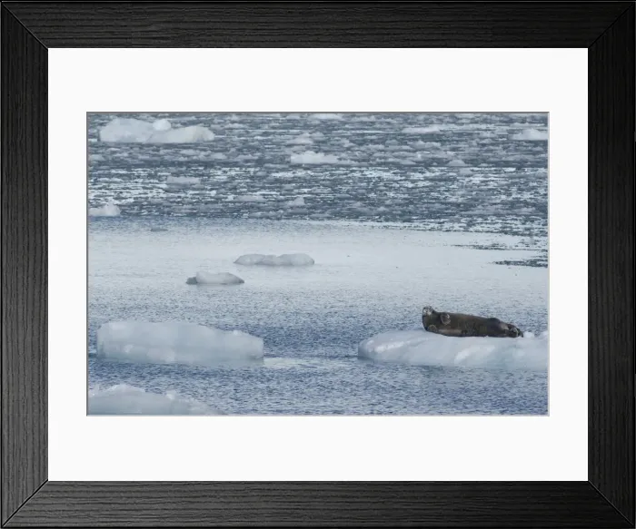 Framed Print : DDE-90036533 Framed Print : DDE-90036533