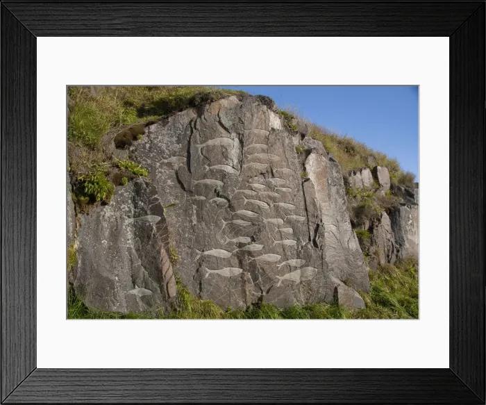 Framed Print : DDE-90036545 Framed Print : DDE-90036545