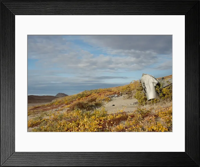 Framed Print : DDE-90036553 Framed Print : DDE-90036553