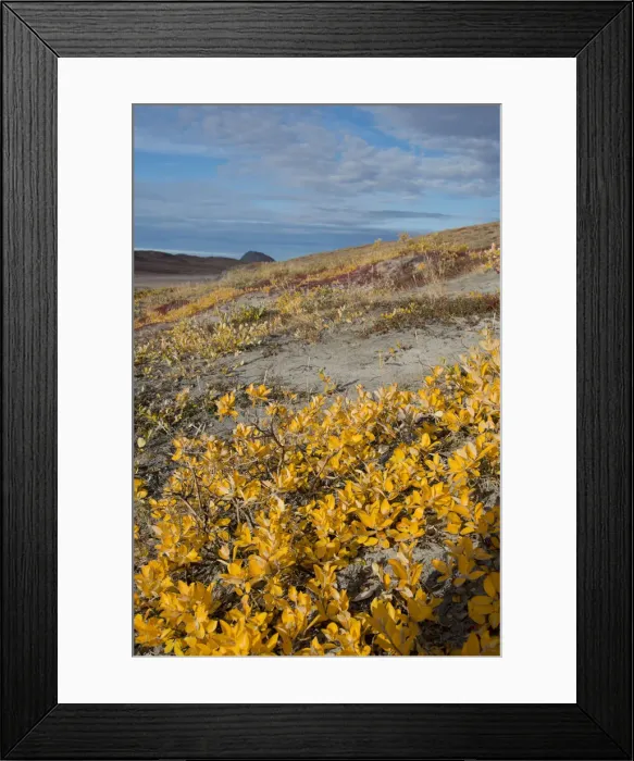 Framed Print : DDE-90036554 Framed Print : DDE-90036554