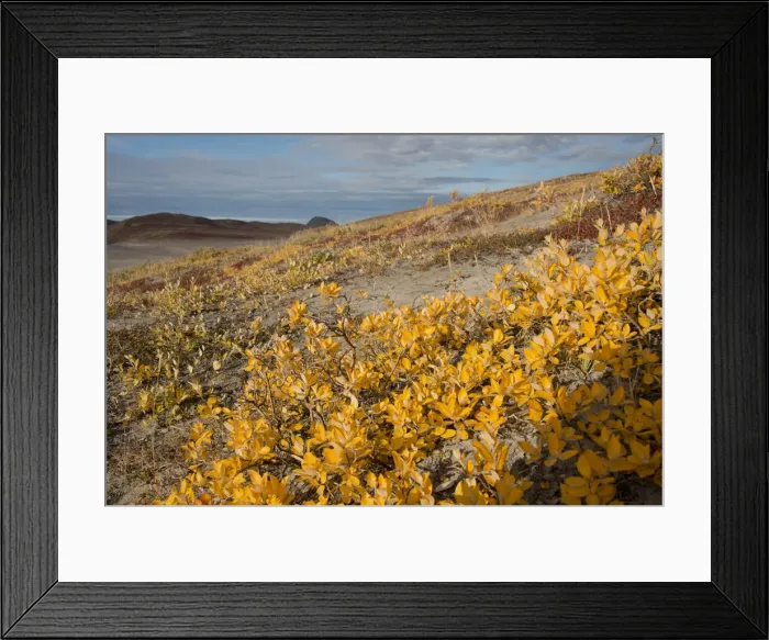 Framed Print : DDE-90036555 Framed Print : DDE-90036555
