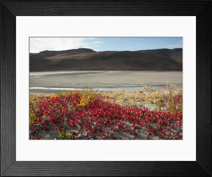 Framed Print : DDE-90036557 Framed Print : DDE-90036557