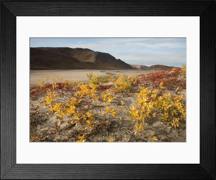 Framed Print : DDE-90036558