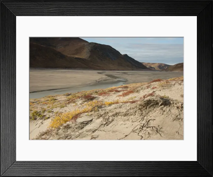 Framed Print : DDE-90036560 Framed Print : DDE-90036560