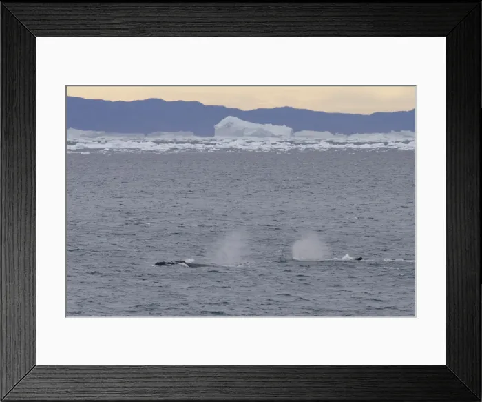 Framed Print : DDE-90036577