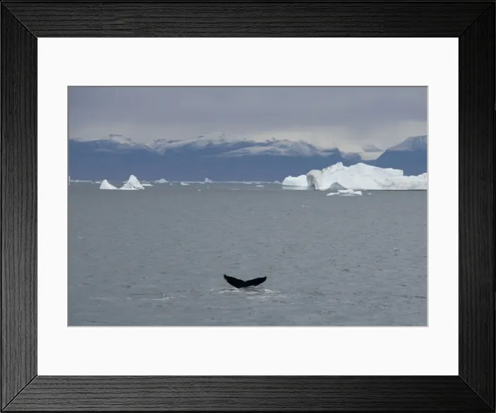 Framed Print : DDE-90036578 Framed Print : DDE-90036578