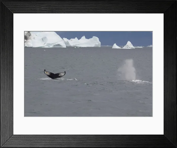 Framed Print : DDE-90036579