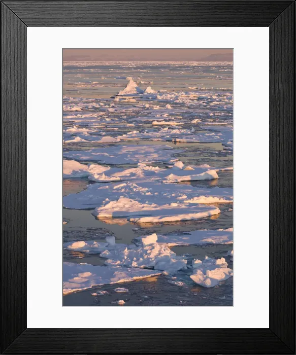 Framed Print : DDE-90036616 Framed Print : DDE-90036616