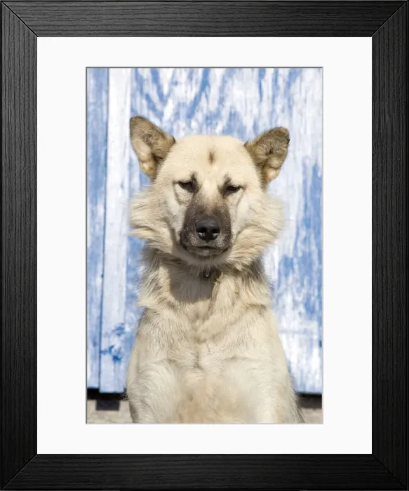 Framed Print : DDE-90036627 Framed Print : DDE-90036627