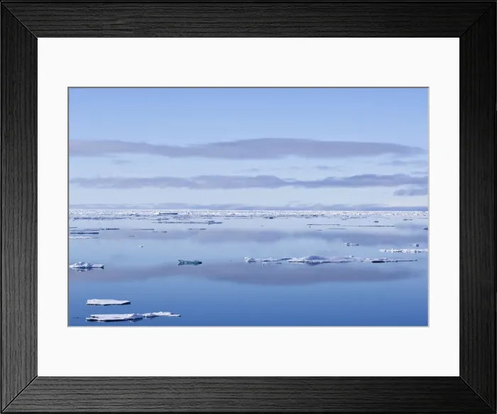 Framed Print : DDE-90036632 Framed Print : DDE-90036632