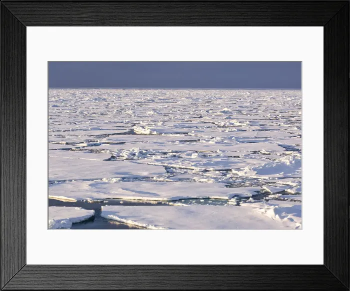 Framed Print : DDE-90036654 Framed Print : DDE-90036654