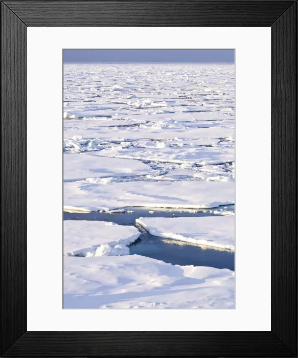 Framed Print : DDE-90036655 Framed Print : DDE-90036655