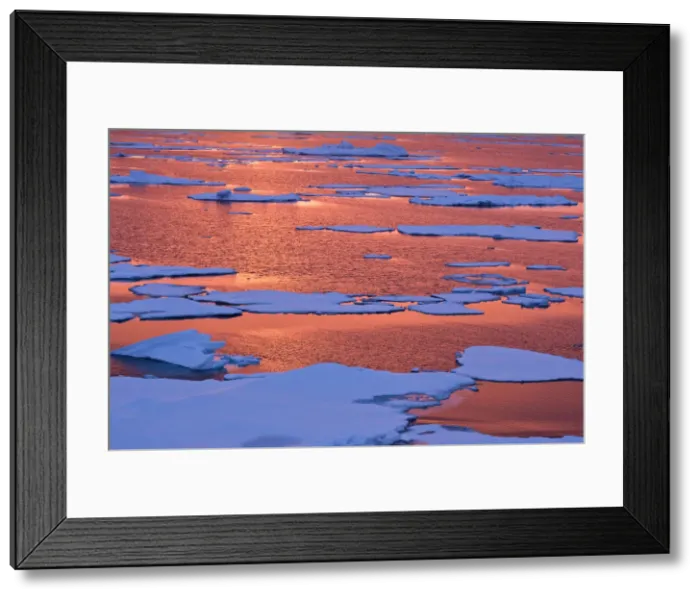Framed Print : DDE-90036660 Framed Print : DDE-90036660