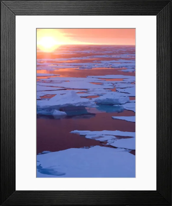 Framed Print : DDE-90036664 Framed Print : DDE-90036664