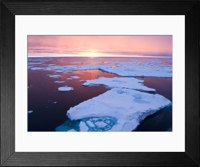 Framed Print : DDE-90036663 Framed Print : DDE-90036663