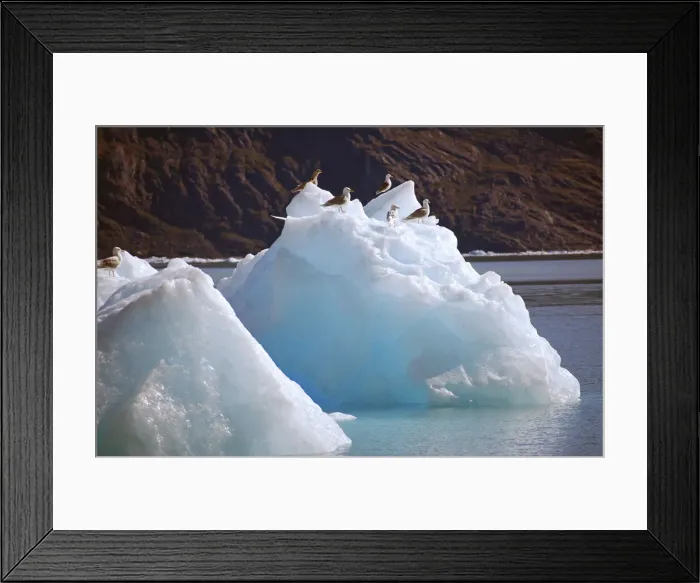 Framed Print : DDE-90036684 Framed Print : DDE-90036684