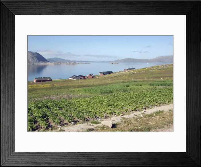 Framed Print : DDE-90036685 Framed Print : DDE-90036685