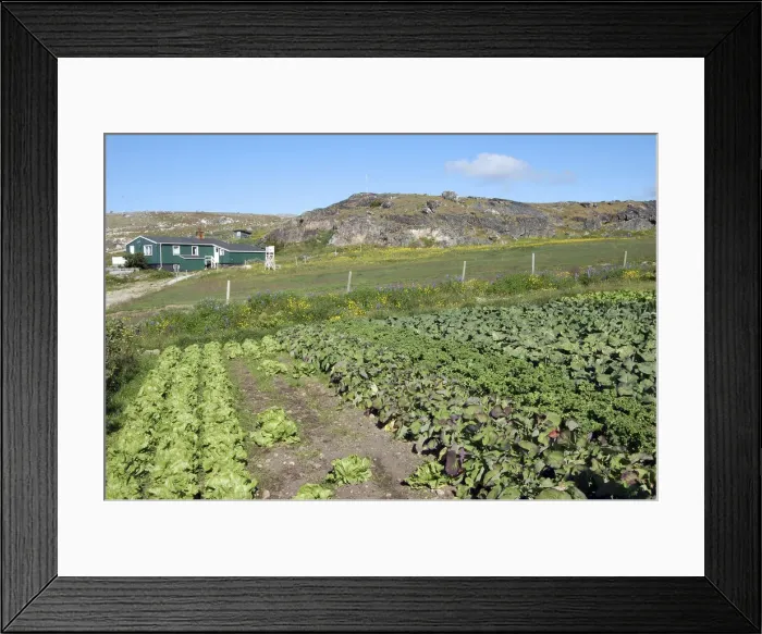 Framed Print : DDE-90036686 Framed Print : DDE-90036686