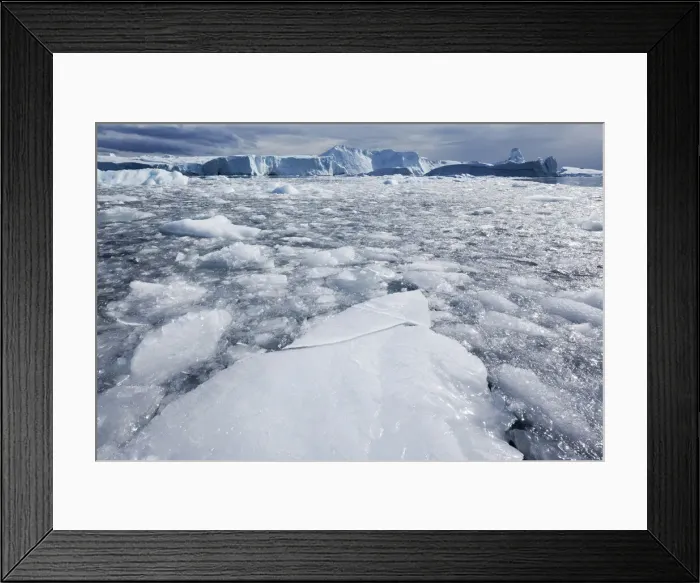 Framed Print : DDE-90036691 Framed Print : DDE-90036691