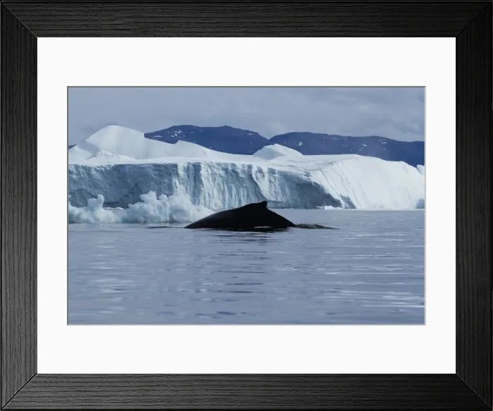Framed Print : DDE-90036697 Framed Print : DDE-90036697
