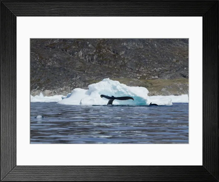 Framed Print : DDE-90036699 Framed Print : DDE-90036699