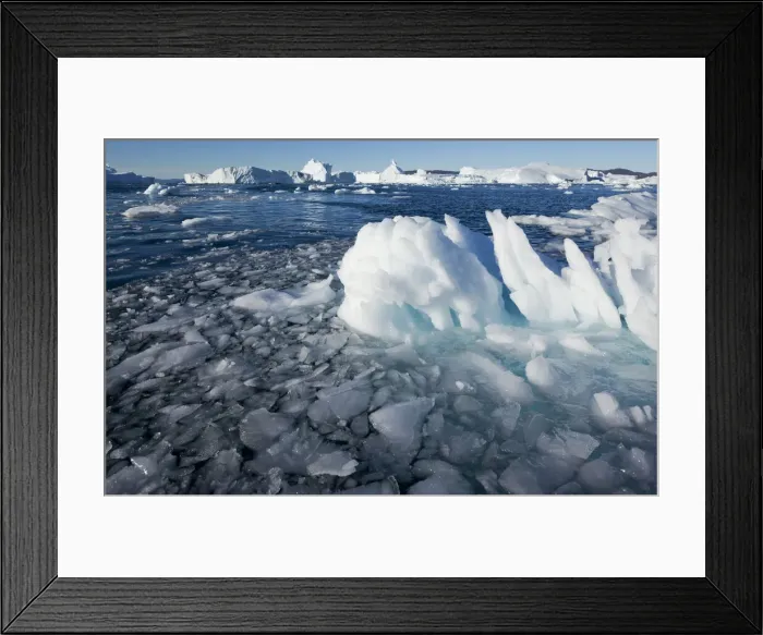 Framed Print : DDE-90036747 Framed Print : DDE-90036747