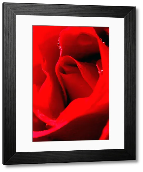 Framed Print : DDE-90036813 Framed Print : DDE-90036813