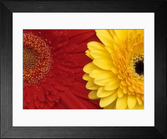Framed Print : DDE-90036814 Framed Print : DDE-90036814