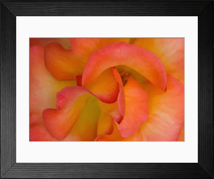 Framed Print : DDE-90036817 Framed Print : DDE-90036817