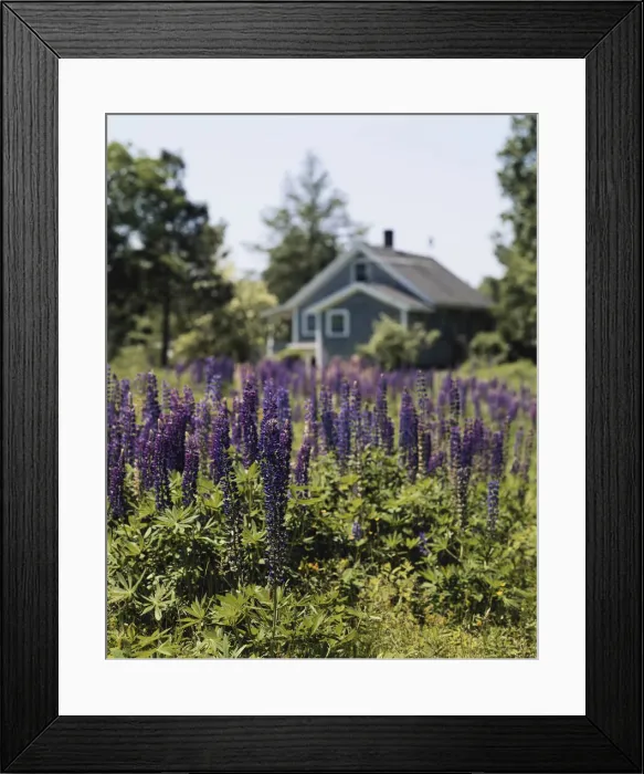 Framed Print : DDE-90036826 Framed Print : DDE-90036826