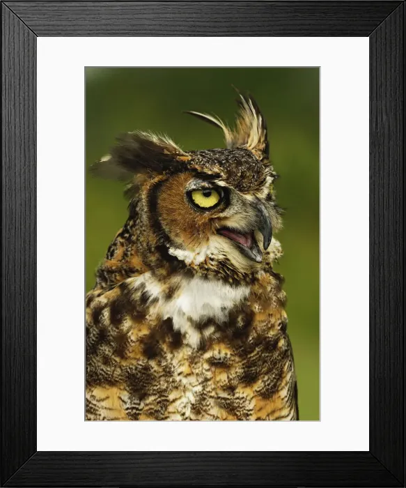 Framed Print : DDE-90036831 Framed Print : DDE-90036831