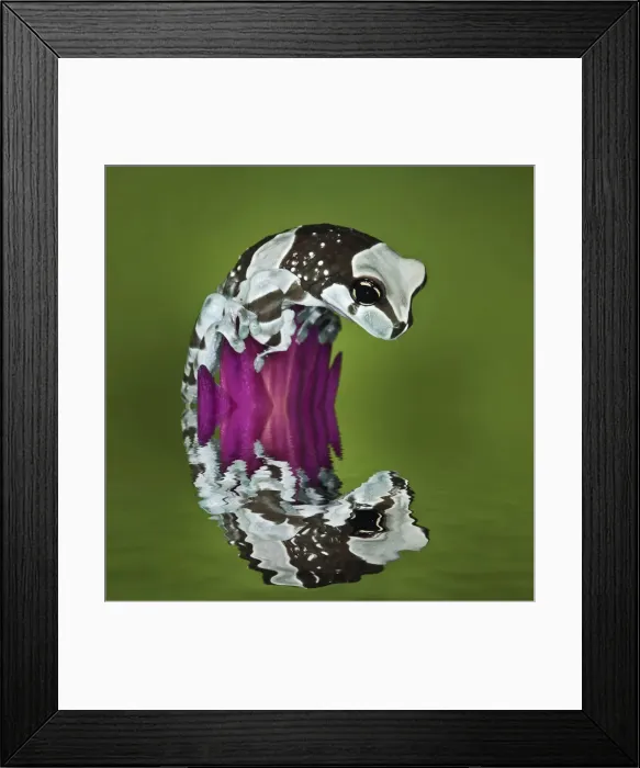 Framed Print : DDE-90036859 Framed Print : DDE-90036859