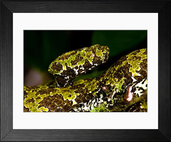 Framed Print : DDE-90036963