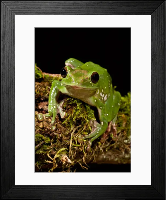 Framed Print : DDE-90036967 Framed Print : DDE-90036967