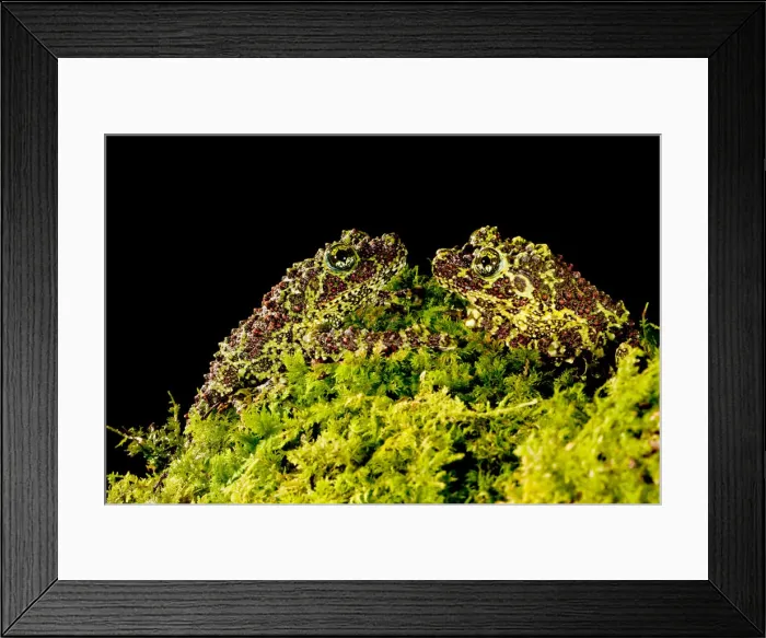 Framed Print : DDE-90036980 Framed Print : DDE-90036980