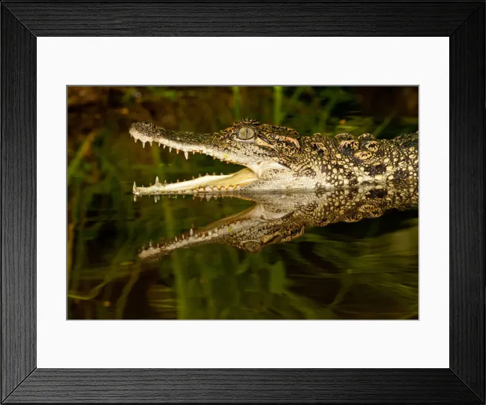 Framed Print : DDE-90036981