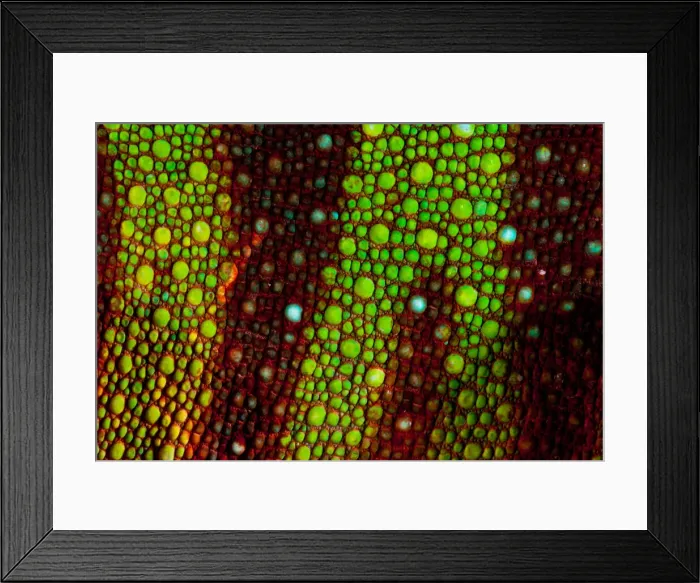 Framed Print : DDE-90037002 Framed Print : DDE-90037002
