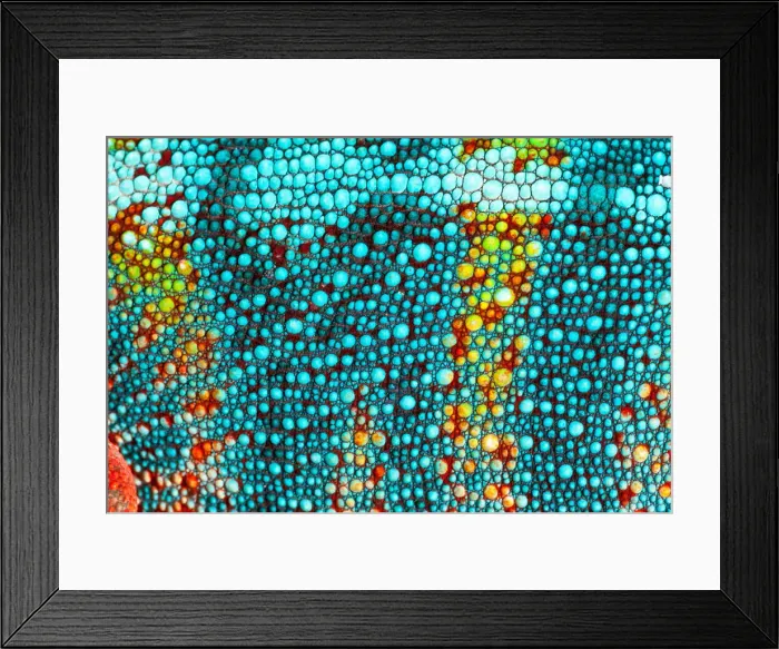 Framed Print : DDE-90037005