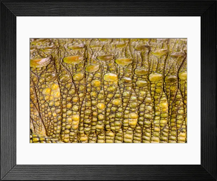 Framed Print : DDE-90037044 Framed Print : DDE-90037044
