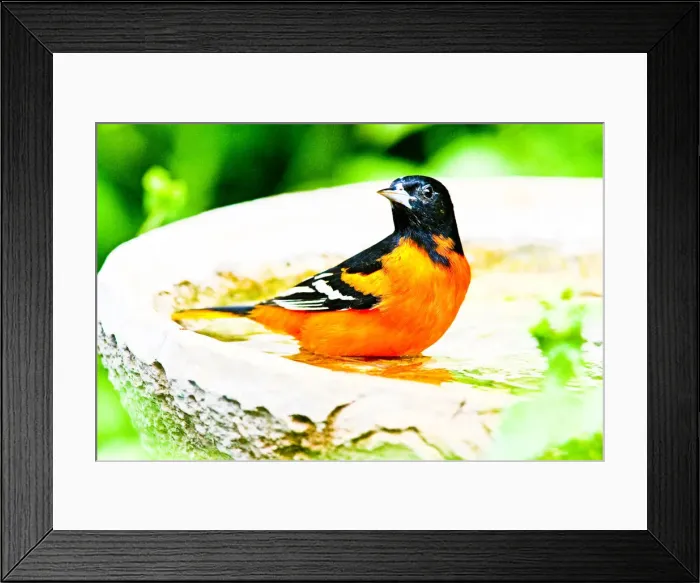 Framed Print : DDE-90037260 Framed Print : DDE-90037260