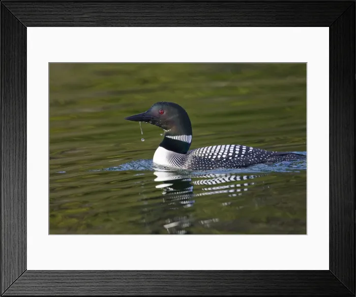 Framed Print : DDE-90037264 Framed Print : DDE-90037264