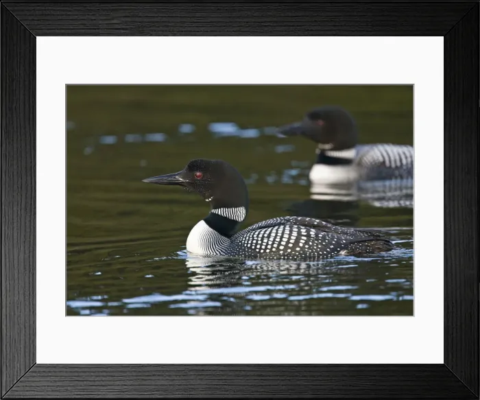 Framed Print : DDE-90037263 Framed Print : DDE-90037263