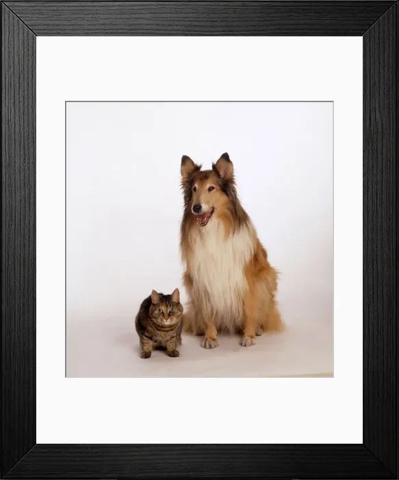 Framed Print : DDE-90037265 Framed Print : DDE-90037265