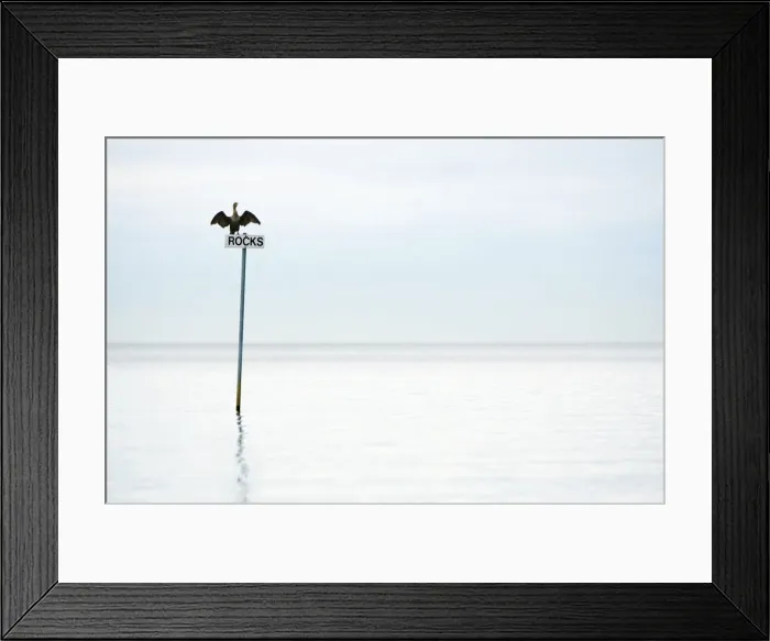 Framed Print : DDE-90037357 Framed Print : DDE-90037357