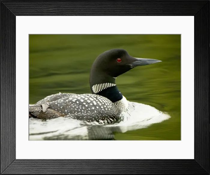 Framed Print : DDE-90037361