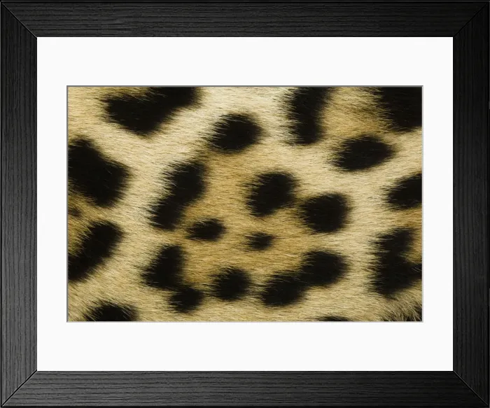 Framed Print : DDE-90037367