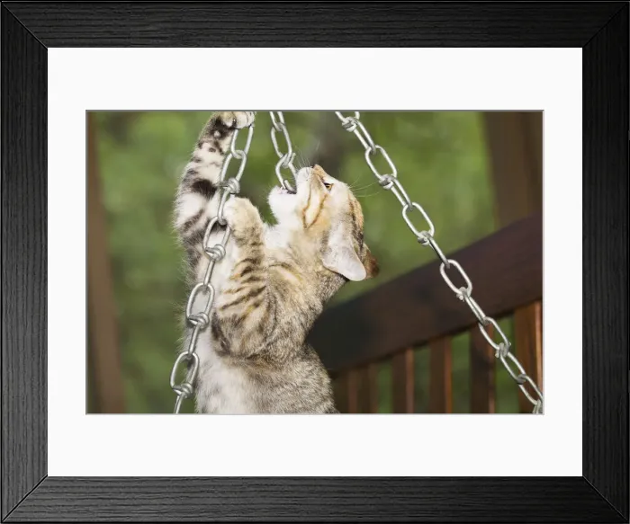 Framed Print : DDE-90037379 Framed Print : DDE-90037379